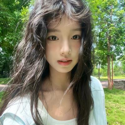 战地情莺